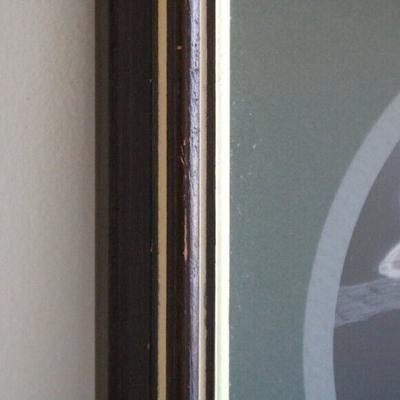 Vintage Framed Cardinal Bird Picture Print Square 9.5 - Picture 3 of 4